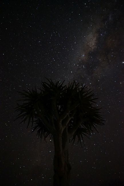 Klarer Sternenhimmel in der Wüste