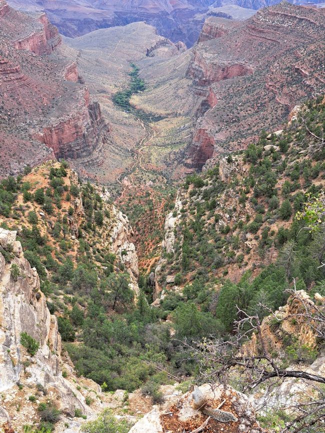 Canyon Mòr