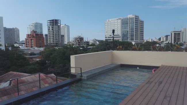 The rooftop pool