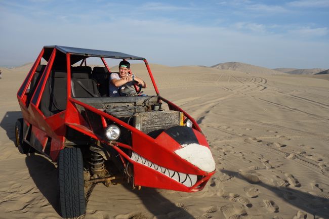 Unser Dune-Buggy