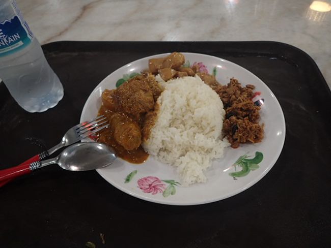 My dinner, rice with chicken, minced meat, and fish?
