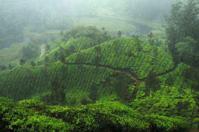 in und um Munnar rum