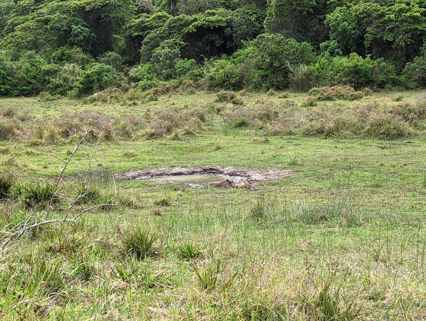Parc marin d'iSimangaliso
