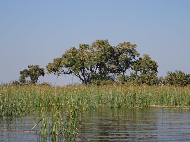 Okavangodelta, Botswana