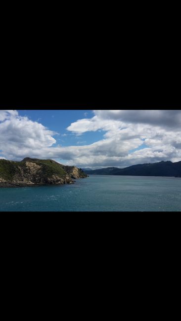 With the ferry from Picton (South Island) to Wellington (North Island)