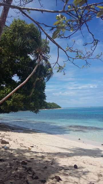 Vanuatu, Neukaledonien, Solomoninseln