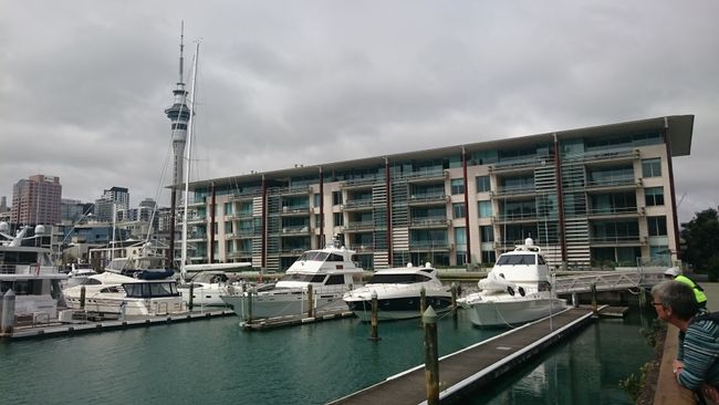 Auckland am ersten Tag