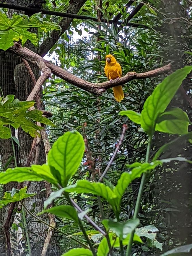 07.06.2022 - Vogelpark und Wasserfälle