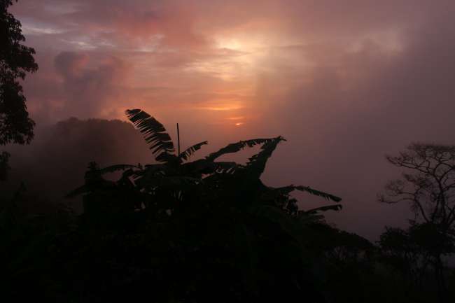 Sonnenuntergang im Nebelwald