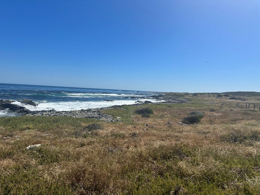 Robben Island 