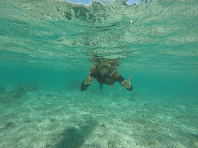 Honduras #1 - Utila Cays