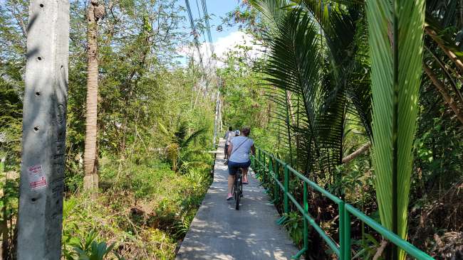 Part 1: Cycling tour through the jungle