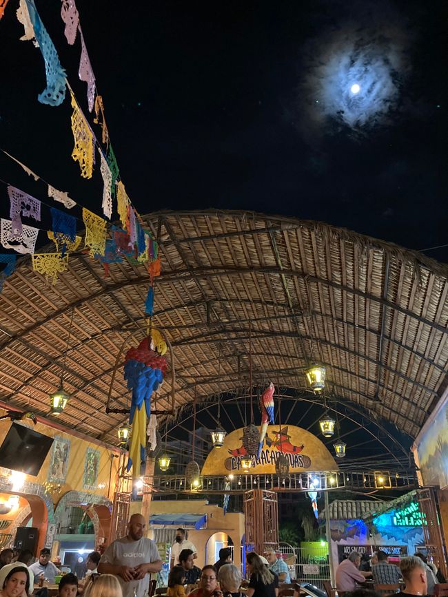 Znacht im Guacamayas - fein!