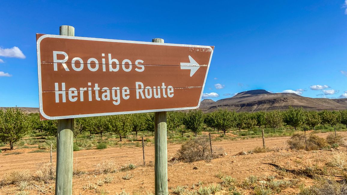 Rooibos Heritage Route