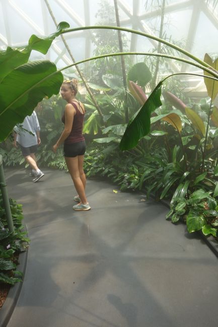 Botanical garden-a exploration tour neih a ni