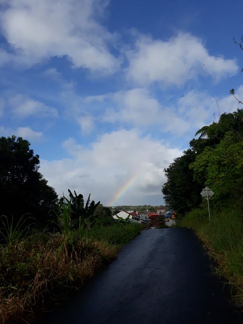 17.02.20 - 24.02.20 von Gorontalo nach Tomohon