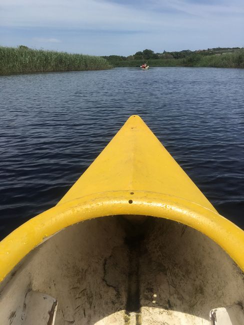 Canoe tour in Wilderness