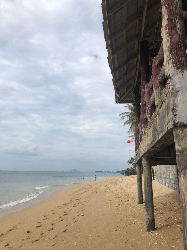 You can find various restaurants right on the beach 🏖️ 