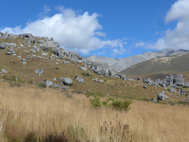 Arthur's Pass und Shantytown (Neuseeland Teil 40)
