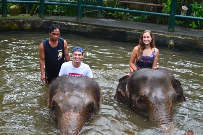 Bath&Breakfast with Elephants!