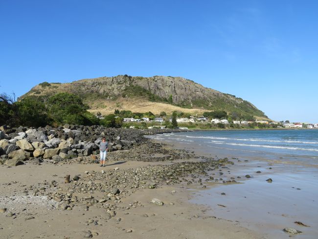 Blick vom Strand auf Stanley, mit „The Nut“ im Hintergrund