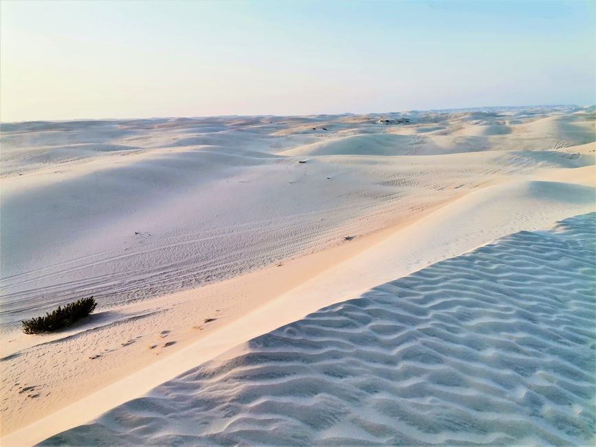 Dune di zucchero d'Oman