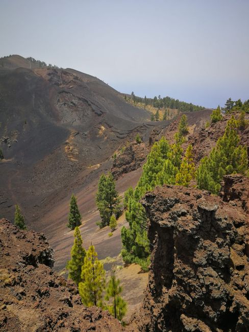La Palma - the beautiful island! Beaches, volcanoes, forests, waterfalls, overwhelming starry skies - a great holiday week on the small Canary Island!