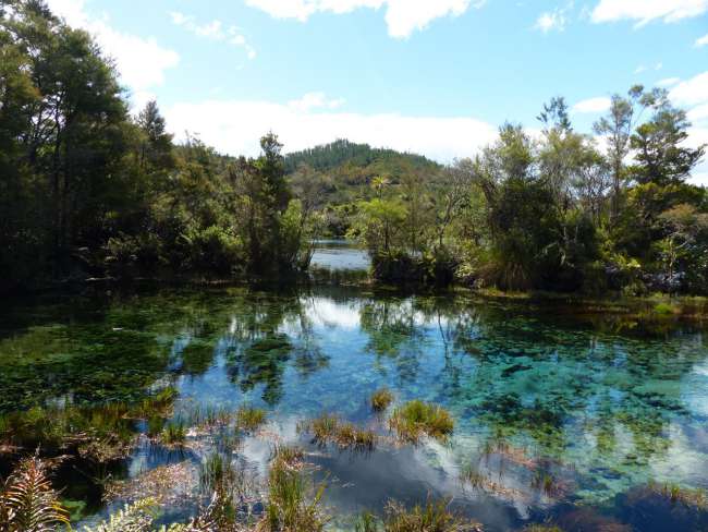 Pupu Springs-clear spring water