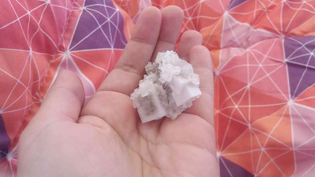 Salt crystal from the water hole