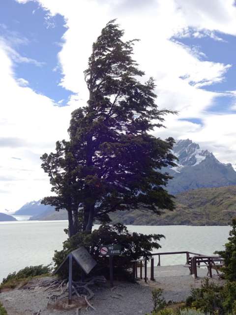 Torres del Paine Grey Lake