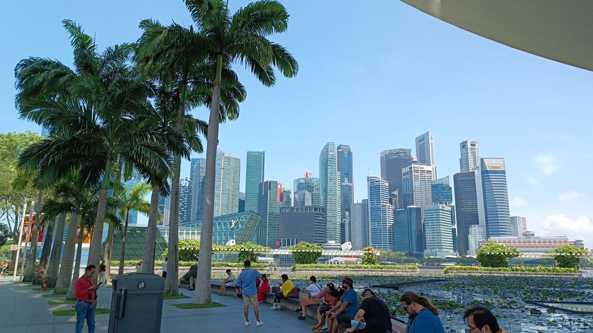 Singapore - Yon bale rich