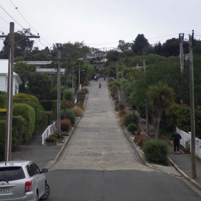 Steepest street in the world in Dunedin