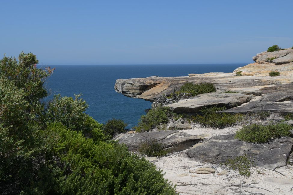 In the Royal National Park