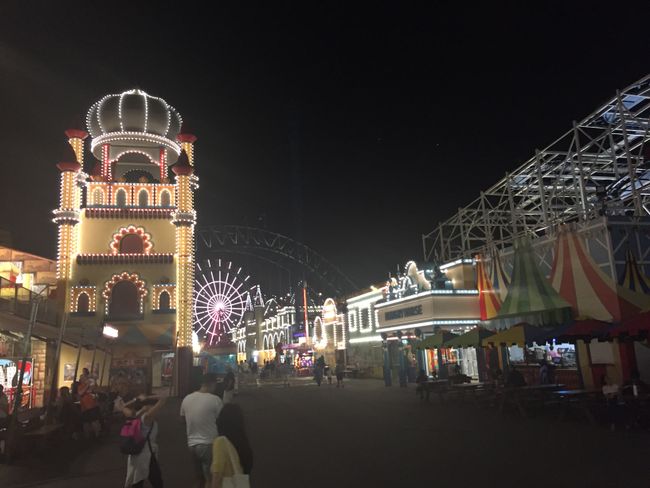 Chapter 4: Sydney, New Year's Eve, and Family Time