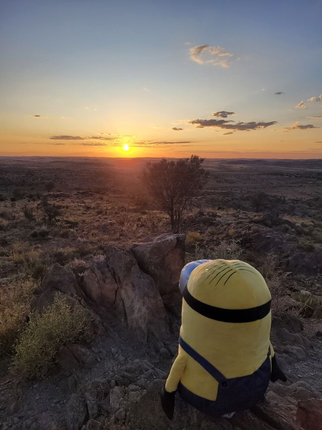 Stuart enjoys sunset at Living Desert State Park