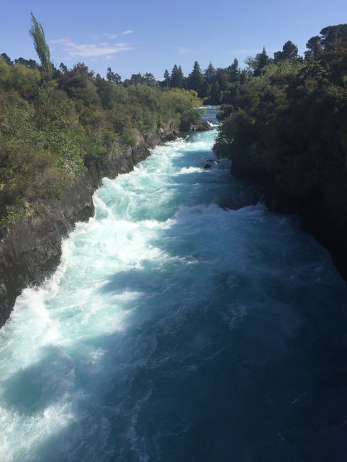 Family time Part 2 and the North Island of New Zealand