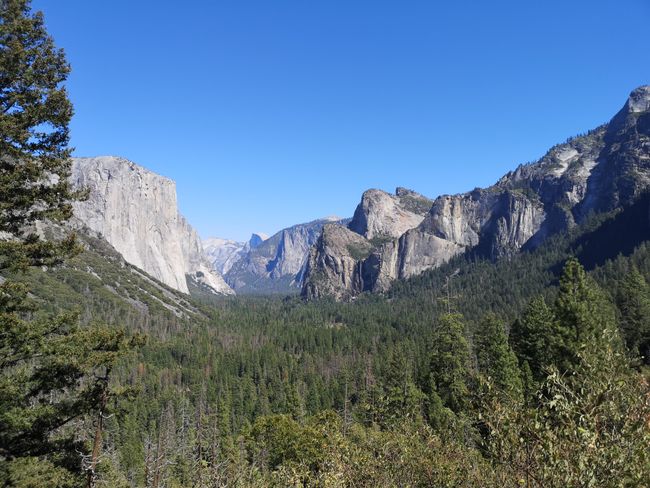 Tag 27 - Yosemite
