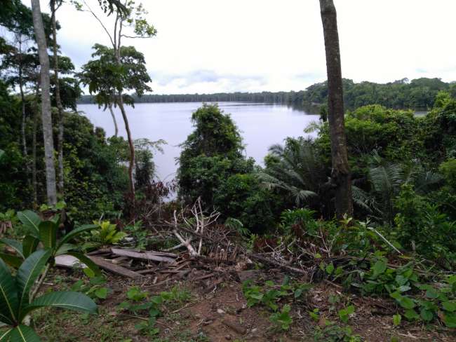 Puerto Maldonado - Pădurea tropicală