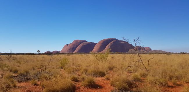 The Olgas, 30 km vom Uluru. Sieht man auf dem Bild davor im Hintergrund