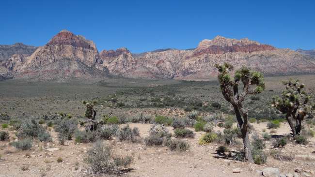 Ausblick in die Red Rock Canyon National Conserv Area in der Nähe von Las Vegas