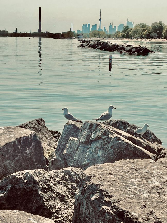 Woche #4