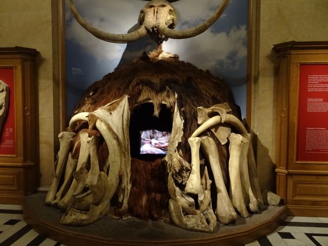 Haus aus mammutknochen