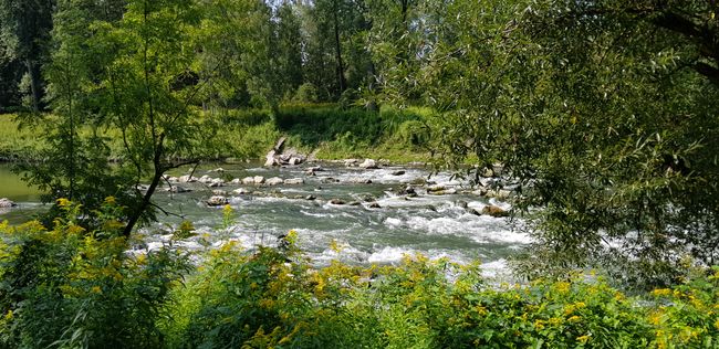 Isar - a beautiful wild river
