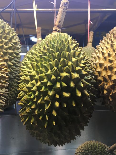 Projekt "Durian"