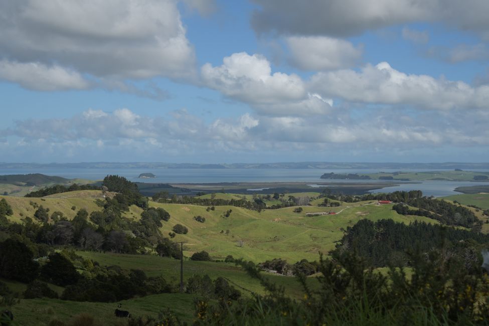 Mittleres Northland - Blick zum Kaipara Harbour