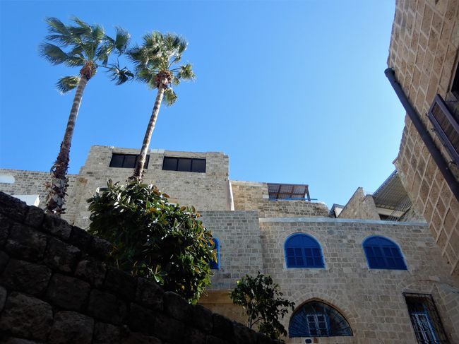 In Jaffa's old town