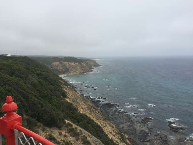 Great Ocean Route (Apollo Bay-Port Campbell)