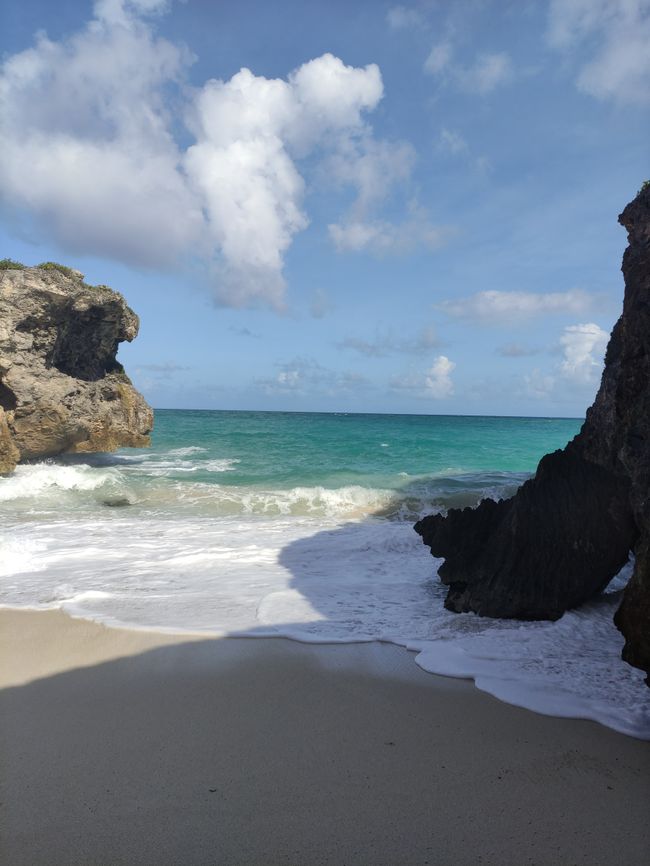 4th day in Barbados: Andromeda Garden, Bath Beach, some cave, beautiful beach in the south, Oistins
