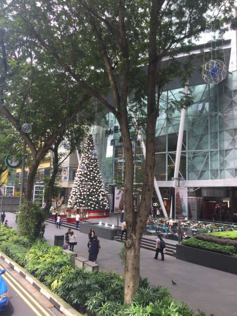 Singapur und Weihnachtsstress bei 33 Grad