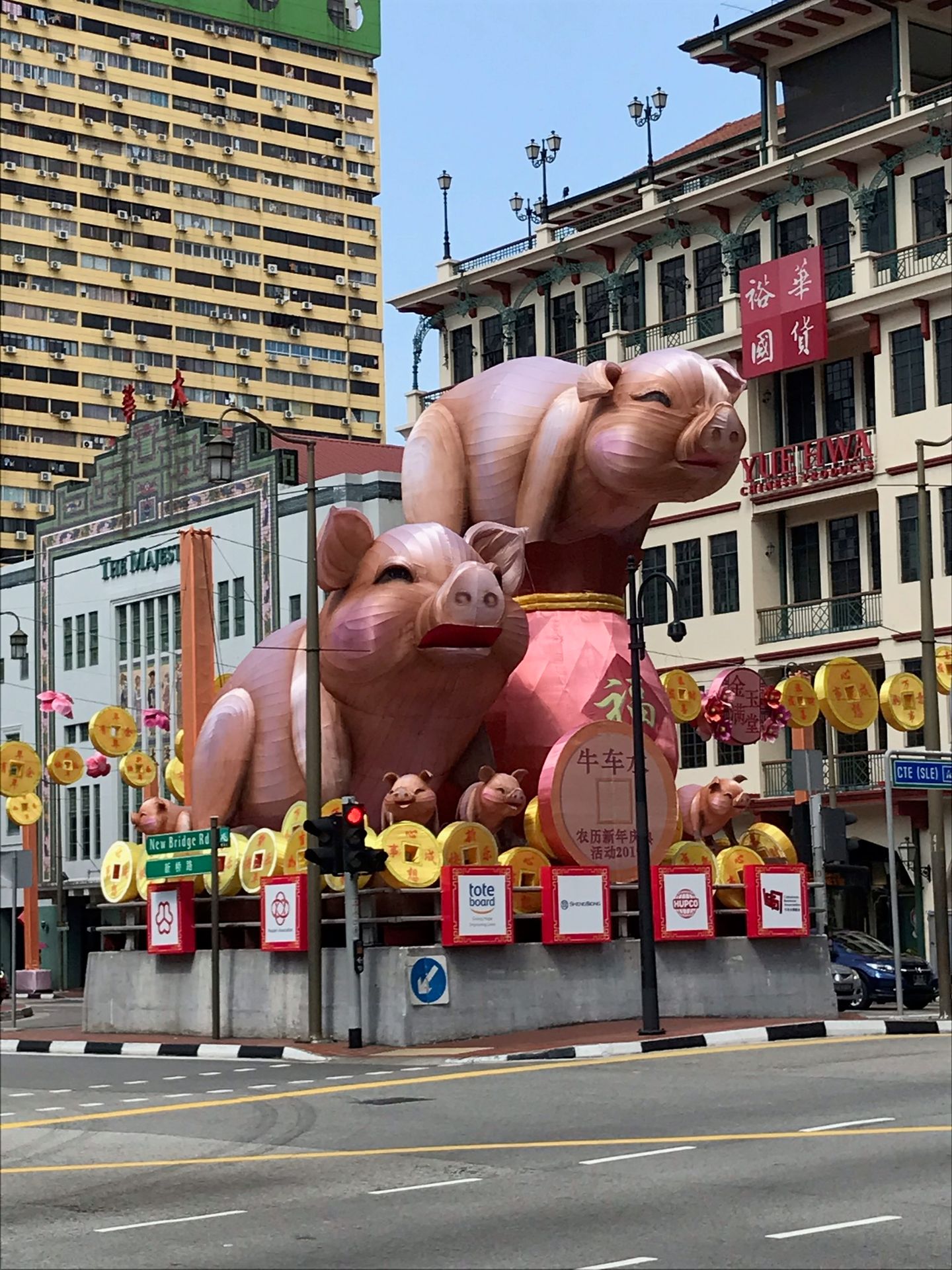 Pigs at the beginning of Chinatown😍